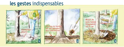 Expérimentation BFR: jardiniers, raccrochez-vous aux branches ! 3