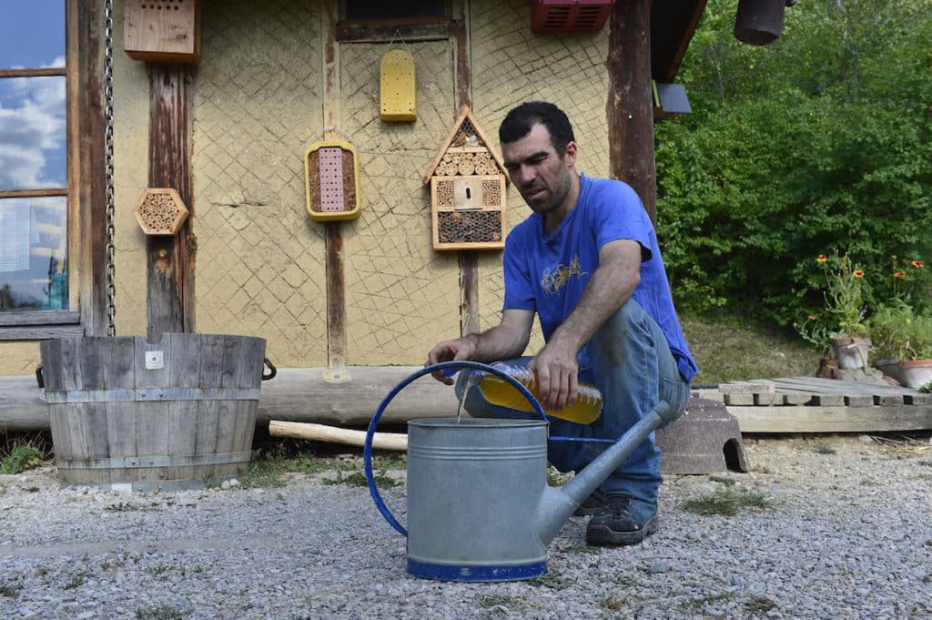 Expérimentation:  Urine, de l’or au jardin 2