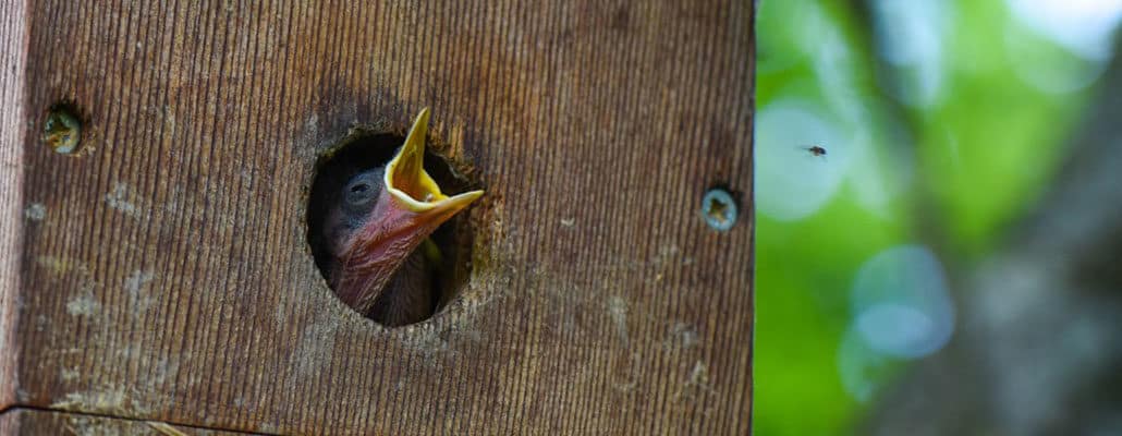 Mon jardin nature | 4 saisons n°244