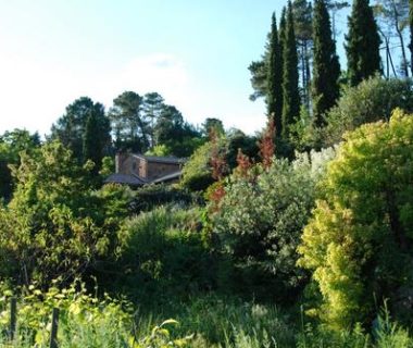 Jardin-paysage de Louisa Jones : zoom sur le plan de gestion | 4 saisons n°247