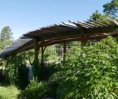 Une pergola dans les jardins du Centre Terre vivante | 4 saisons n°243 2