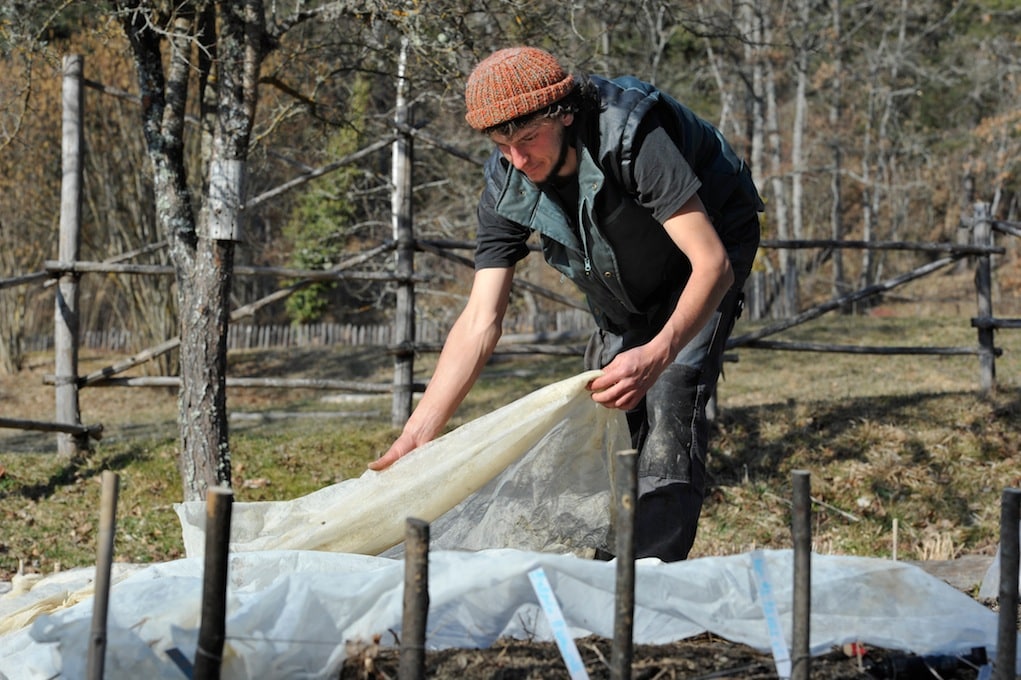 Voile d'hivernage et de forçage P30 - Jardin et Saisons