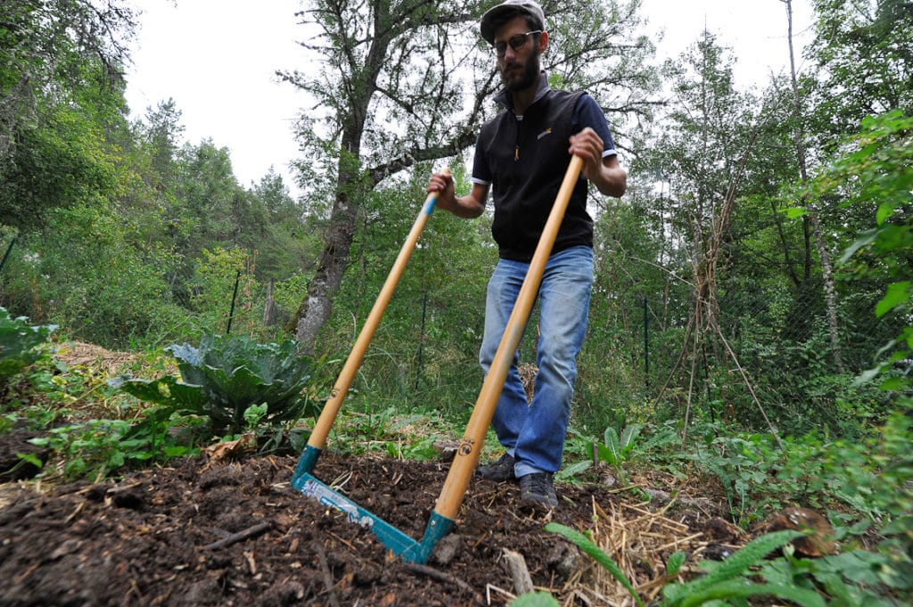 Pourquoi utiliser une grelinette pour cultiver ?