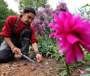 Kit de 7 outils pour les potagers à terre lourde argileuse - Forges et  Jardins