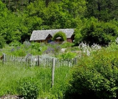 Cabane des jardiniers