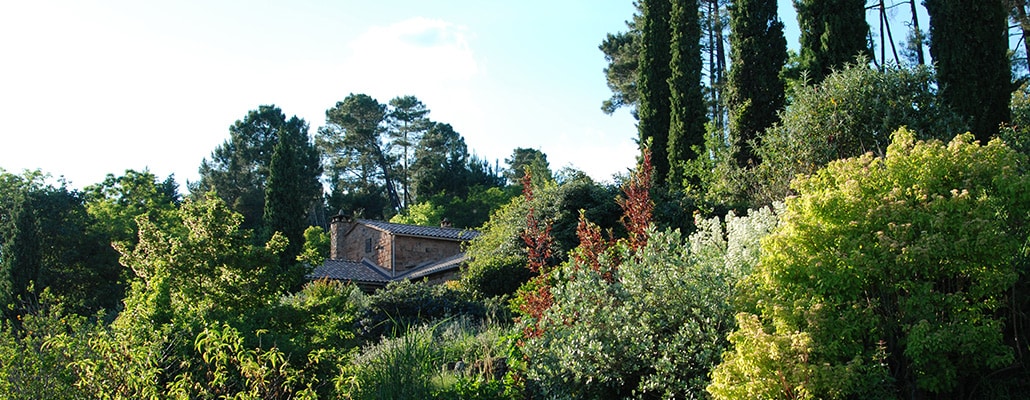 Jardin-paysage de Louisa Jones : zoom sur le plan de gestion | 4 saisons n°247 5