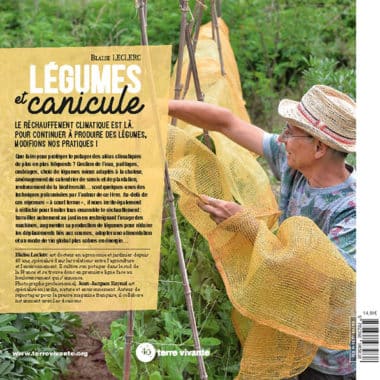 Légumes et canicule 1