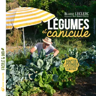 Légumes et canicule