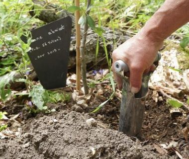 Lutte contre les campagnols : vos témoignages | 4 saisons n°245 4