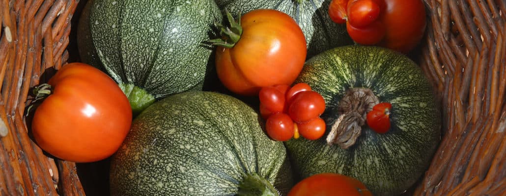 Tomates, courges, salades, haricots: Vos variétés préférées