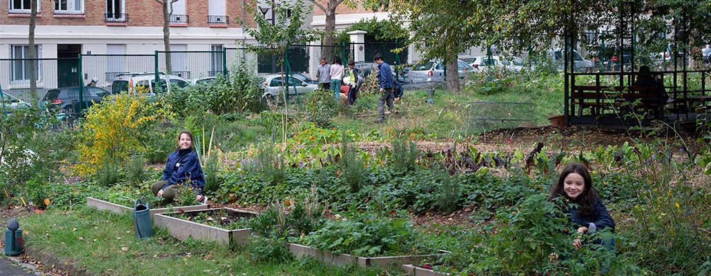 Un collège qui réinvente son jardin | 4 saisons n°241