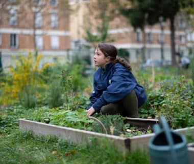 Un collège qui réinvente son jardin | 4 saisons n°241 1