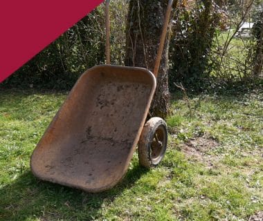 Vive la récup' au jardin