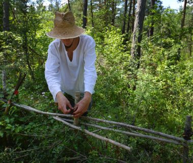 Haies plessées : une alternative au "béton vert" | 4 saisons n°227 3