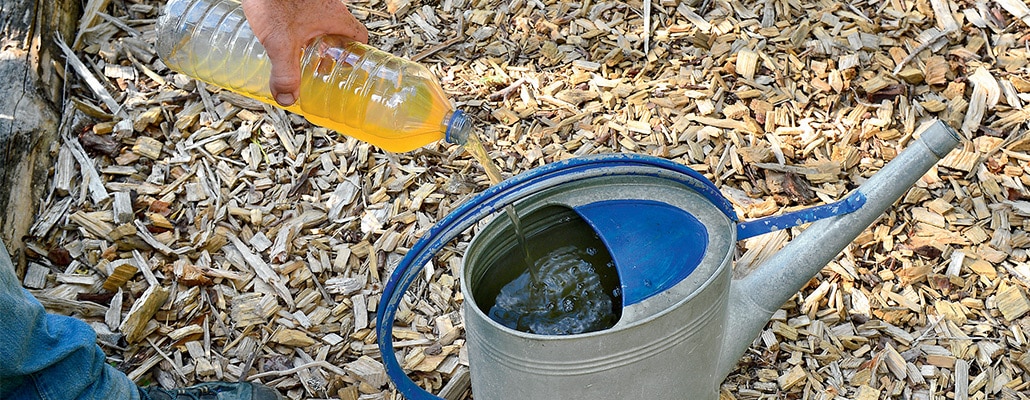 Ils ont testé l'urine au jardin | 4 saisons n°228