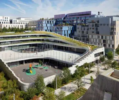 La biodiversité s'épanouit à l'école | 4 saisons n°235 1