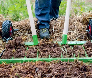 Précieux outils de jardin 1