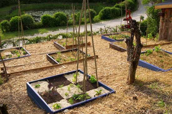 J – ABP – les potagers en carre