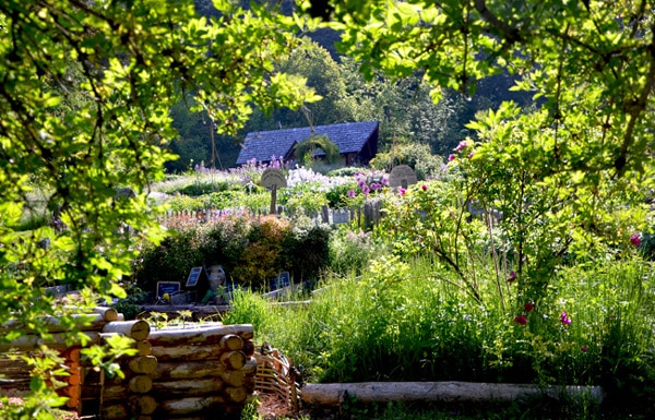 Jardins de Terre vivante en juin - O. Madhi