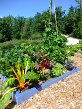 Aménager mon petit jardin