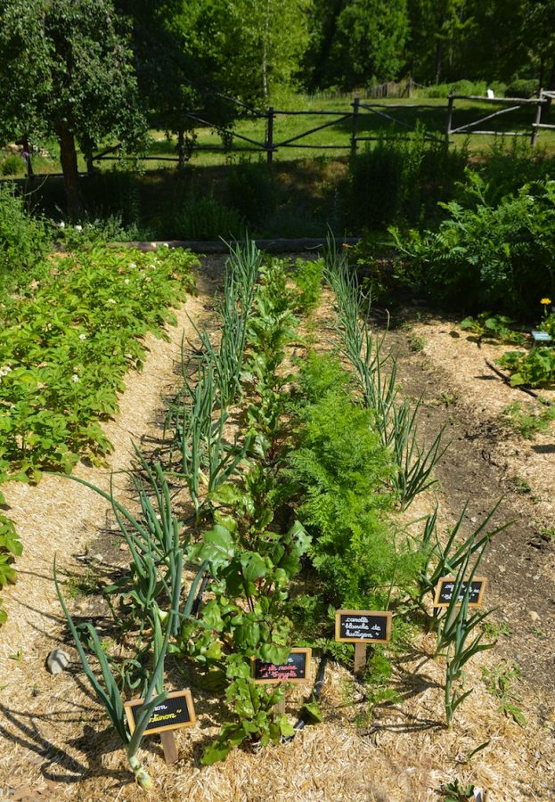 Concevoir et mettre en place un potager