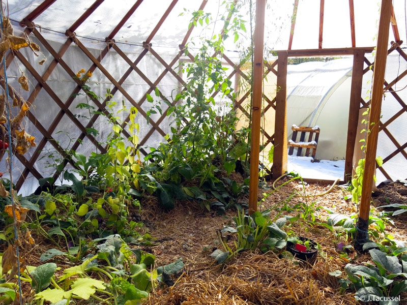 Le potager en montagne