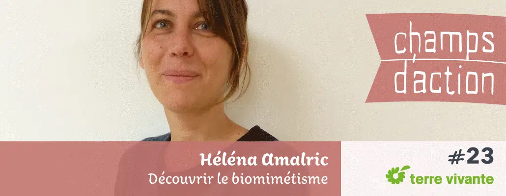 Champs d'action #23 : Héléna Amalric | Découvrir le biomimétisme 1