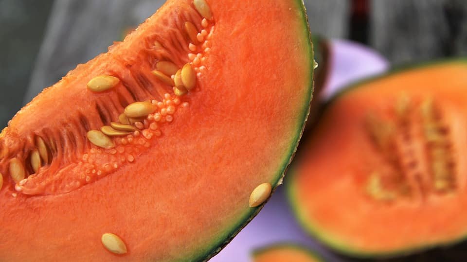 Graines Melon Cantaloup Charentais bio – Jardin’enVie 3
