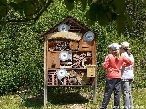 module 2 animer au jardin avec enfants