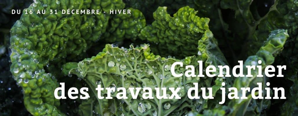 Calendrier des travaux du jardin | Du 16 au 31 décembre