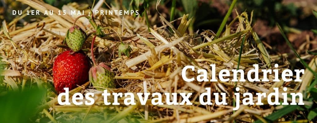 Calendrier des travaux du jardin du 1er au 15 mai