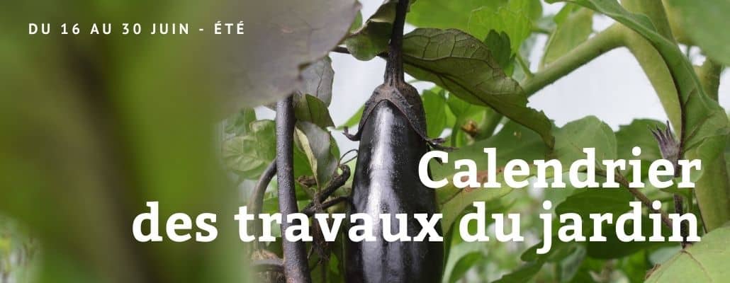 Calendrier à planter - jardin du temps