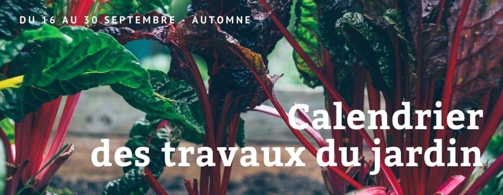 Calendrier des travaux du jardin | Du 16 au 30 septembre