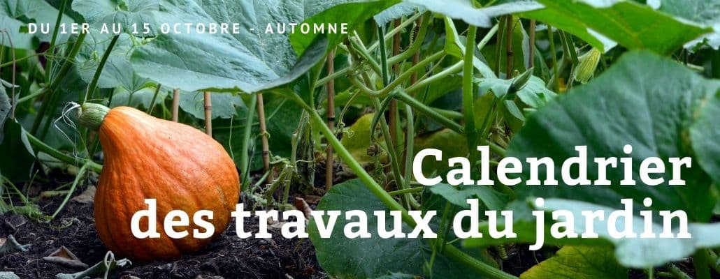 Calendrier des travaux du jardin du 1er au 15 octobre