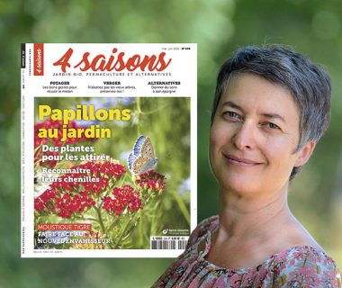 Cet arbre ne vous appartient pas | 4 saisons n°248 1