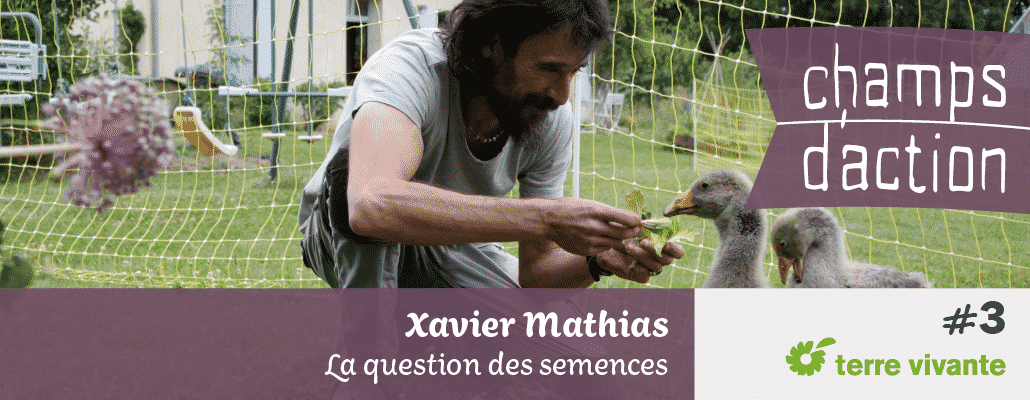 Champs d'action #3 : Xavier Mathias | La question des semences