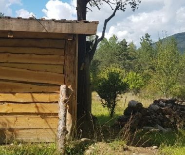 La forêt du 6e sens le toucher