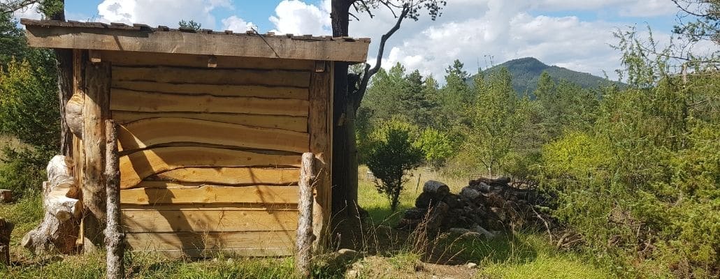 La forêt du 6e sens le toucher