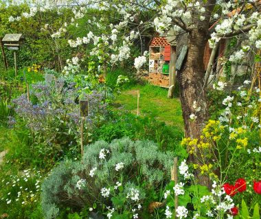 Bienvenue dans mon jardin au naturel, les 12 et 13 juin partout en France 1