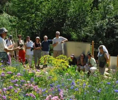 Visite des jardins