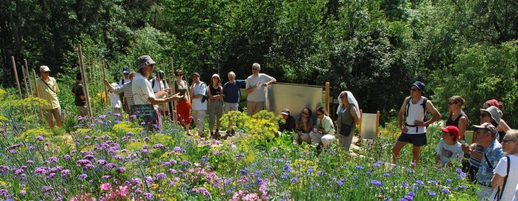 Visite des jardins