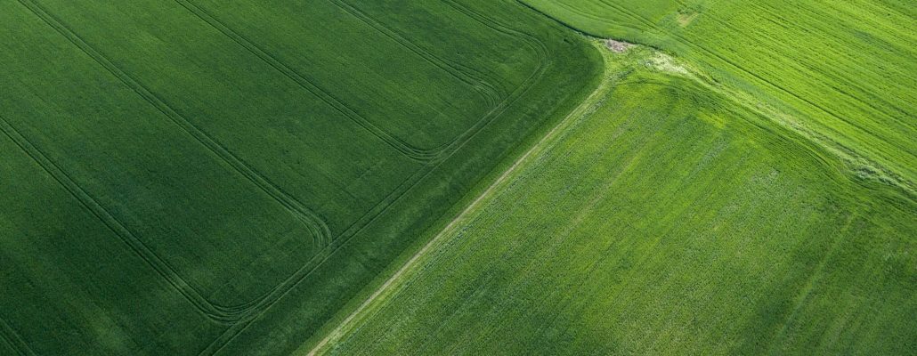 Un scanner pour connaître la santé des cultures