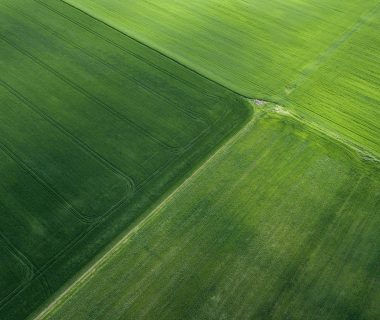 Un scanner pour connaître la santé des cultures