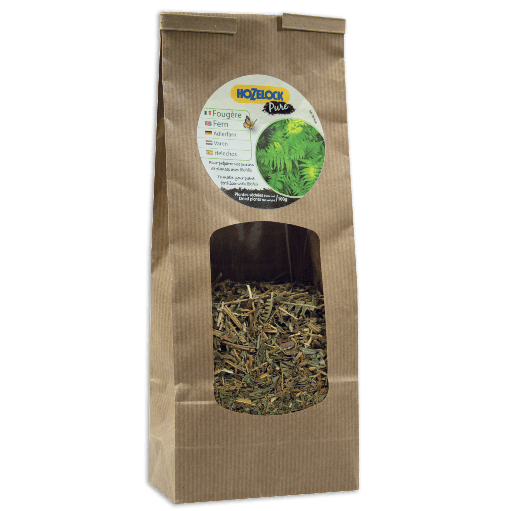 Fougères séchées – Sachet de 100g