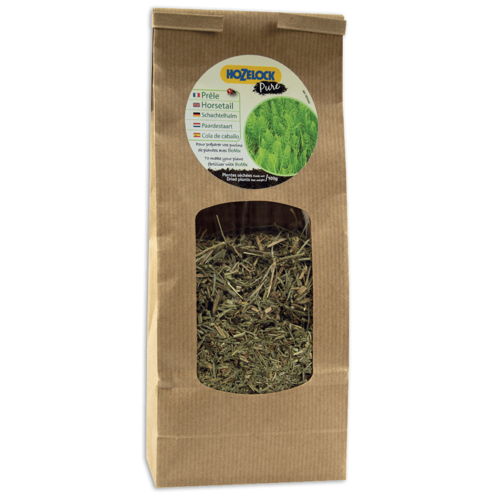 Prêles séchées – Sachet de 100g