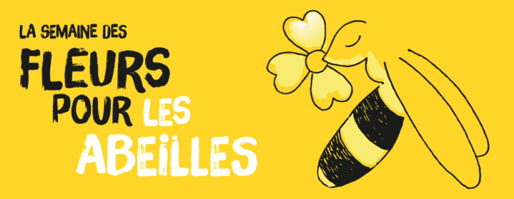 Des fleurs pour les abeilles : semez des graines en juin pour aider les pollinisateurs !