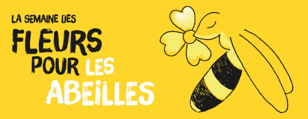 Des fleurs pour les abeilles : semez des graines en juin pour aider les pollinisateurs !