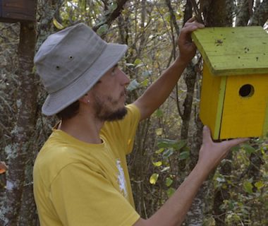 Vos aménagements pour accueillir la faune