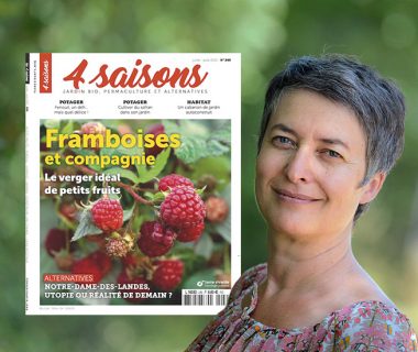 Éloge des mauvaises herbes | 4 saisons n°249