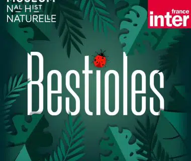 Les Bestioles à l’honneur dans le nouveau podcast jeunesse de France Inter 1